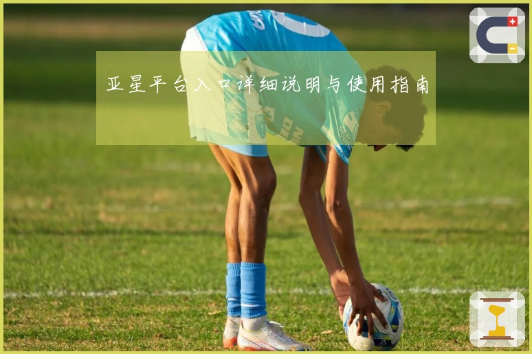 亚星平台入口详细说明与使用指南