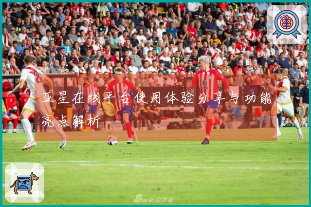 亚星在线平台使用体验分享与功能亮点解析