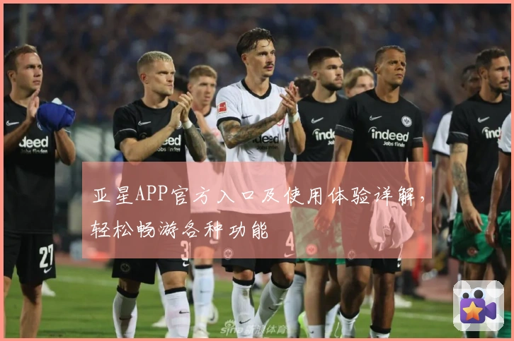 亚星APP官方入口及使用体验详解，轻松畅游各种功能