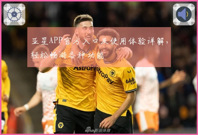 亚星APP官方入口及使用体验详解，轻松畅游各种功能
