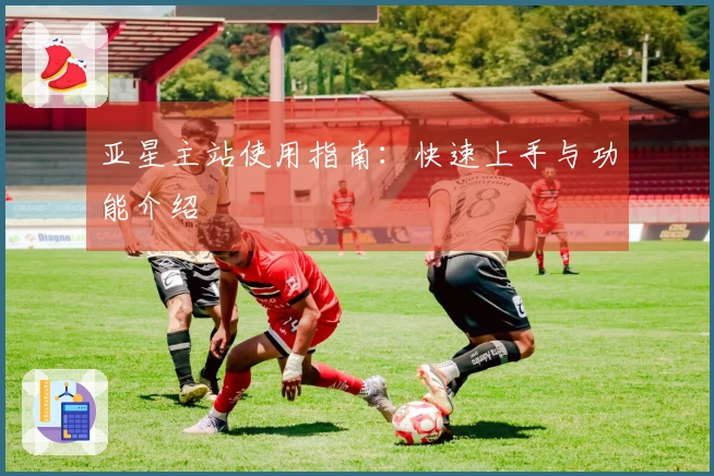 亚星主站使用指南：快速上手与功能介绍