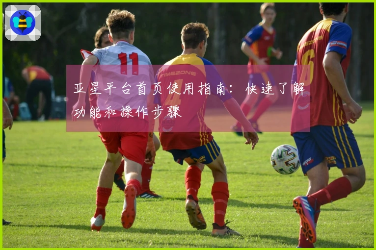 亚星平台首页使用指南：快速了解功能和操作步骤